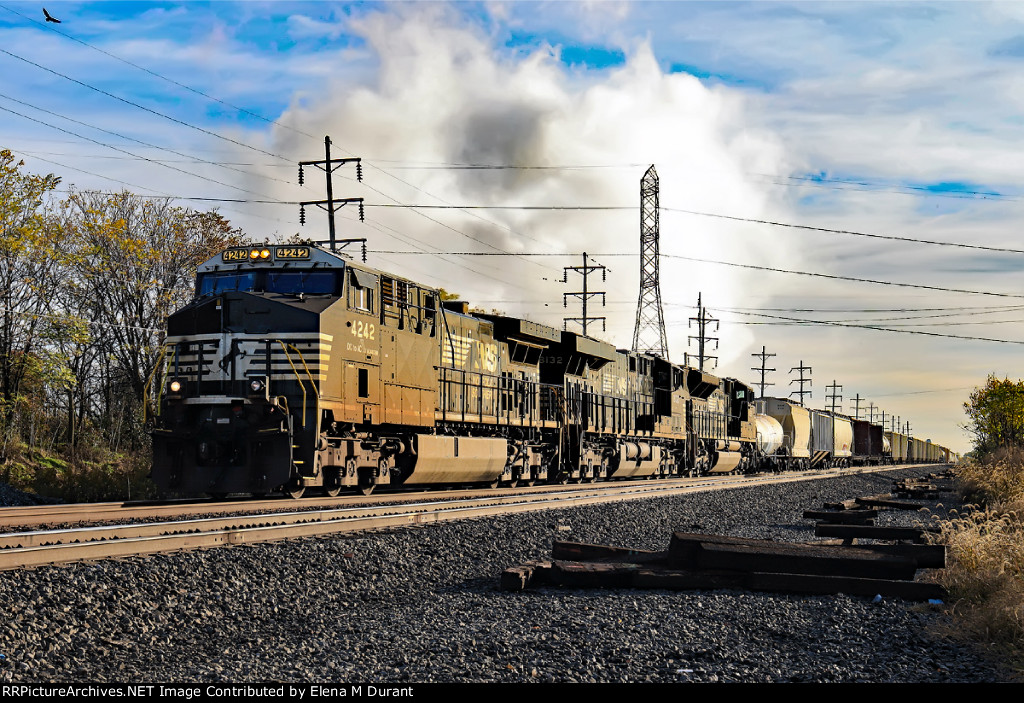 NS 4242 on 289